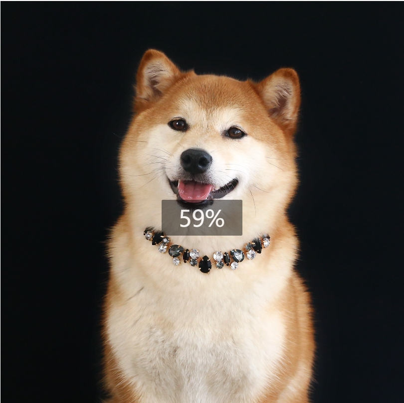 When choosing pet jewelry, one should pay attention to its practicality and comfort. It is popular for pets to wear gold and silver